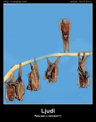 ljudi.jpg
