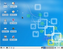 Salix-Live-Desktop.jpg