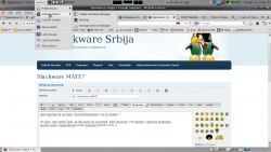 09.04.13 prikaz(002).jpeg