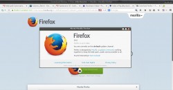Firefox 29.0.jpg